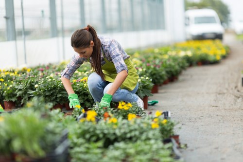 Healthy garden lawn maintenance in Brentford