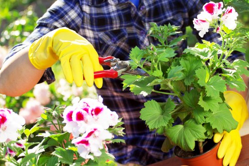 Gardeners Brentford team using safe working practices in an outdoor garden