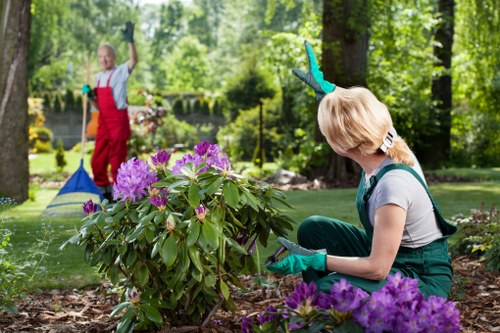Image 3 illustrating supplier audit checks for gardening operations