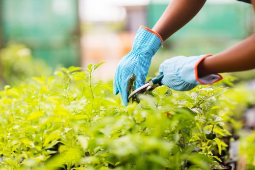 Reviewing a gardening service concern