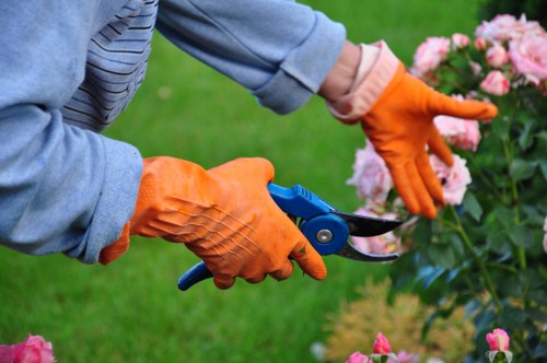 Professional tree lopping and removal work in Brentford garden
