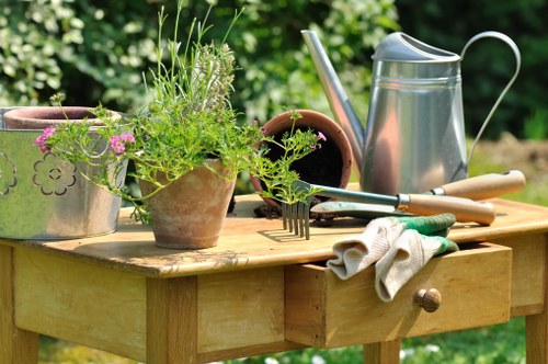 Brentford garden maintenance with pruning and seasonal tidy-up
