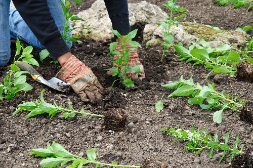 Cubic-yard garden waste measurement for a Brentford landscaping quote