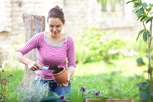 Gardeners Brentford team caring for a tidy and healthy outdoor space