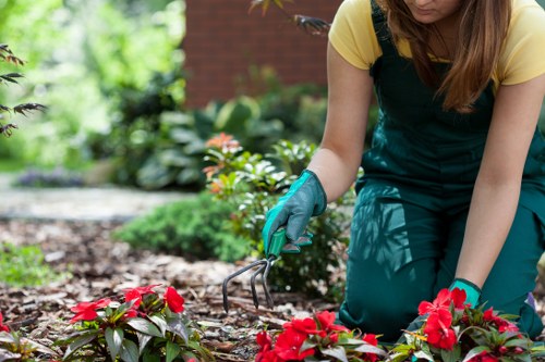 Brentford lawn maintenance for greener outdoor spaces