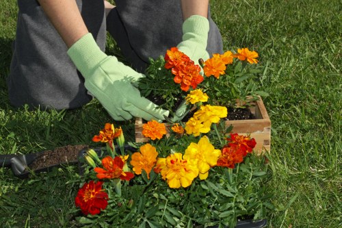 Professional garden complaint assessment in progress