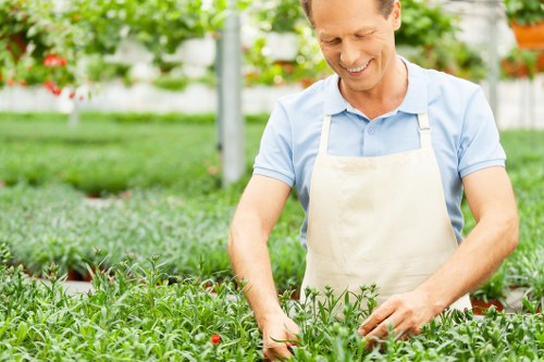 Residential garden maintenance services for Brentford homes