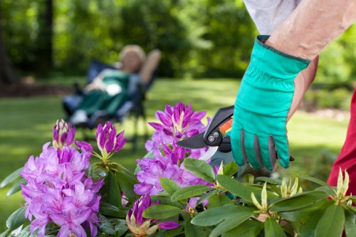 Seasonal lawn treatment for Brentford homes