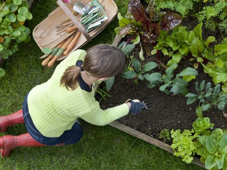 Commercial garden care and landscaping support in Brentford