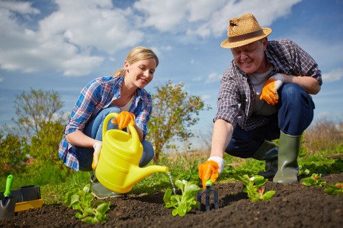 Neat and healthy residential garden maintenance in Brentford