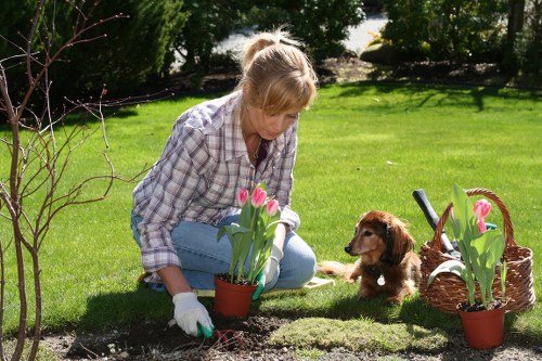 Complaint resolution for gardening work