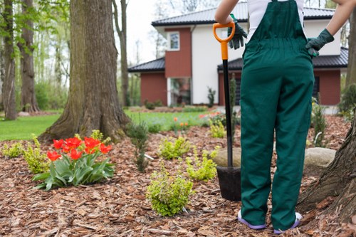 Modern landscaping features for a Brentford property