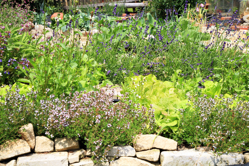 lawn mowing flower borders