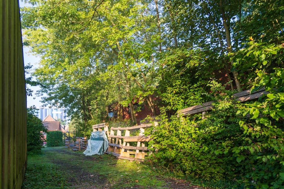 A narrow, shaded garden pathway adjacent to a brick building, surrounded by lush green foliage and mature trees with dense, vibrant leaves. The pathway features a grassy surface with patches of soil, 